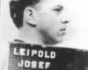 Josef Leipold