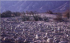 rocky desert area
