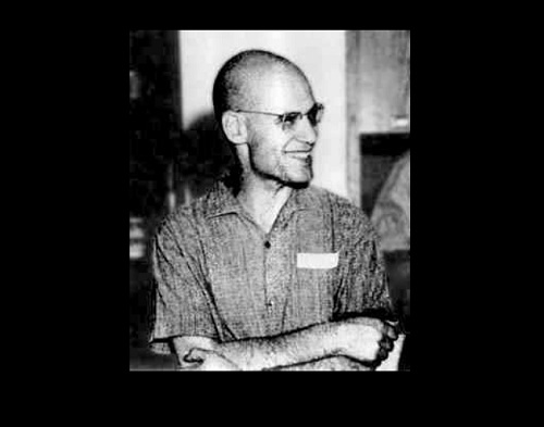 Vektorräume und Löwenzahn