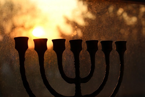 Zur Geschichte des Moos Zur