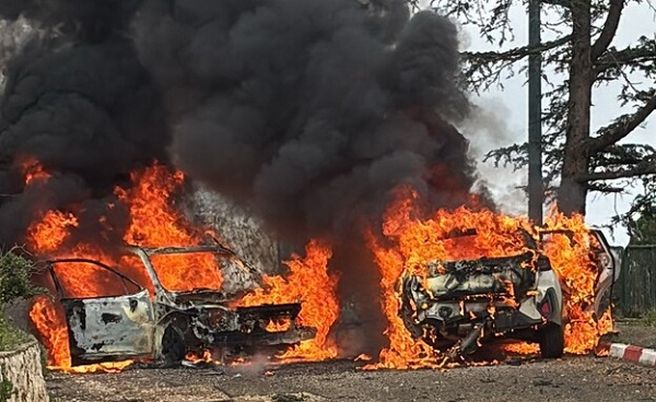 „Diese Bäume werden noch lange nach mir stehen“
