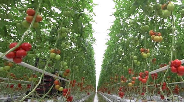 Israel – Water Tech Nation